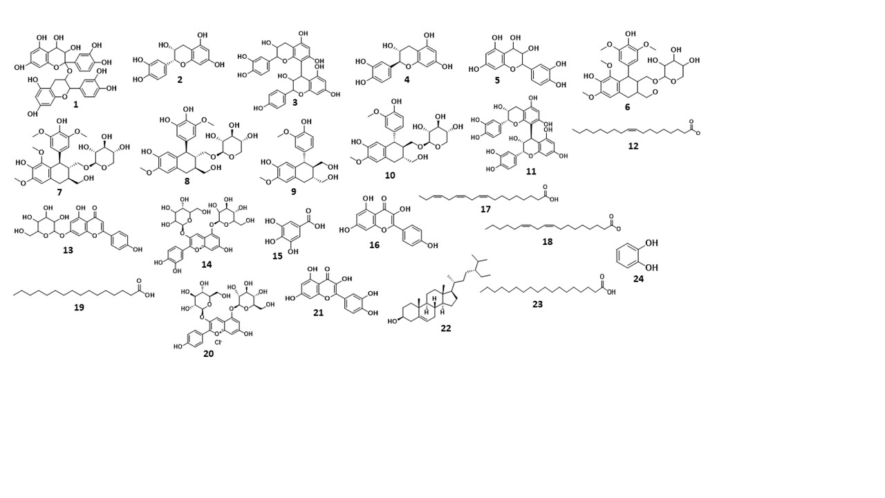 Phytochemicals and plant bioactive in the various parts S. asoca