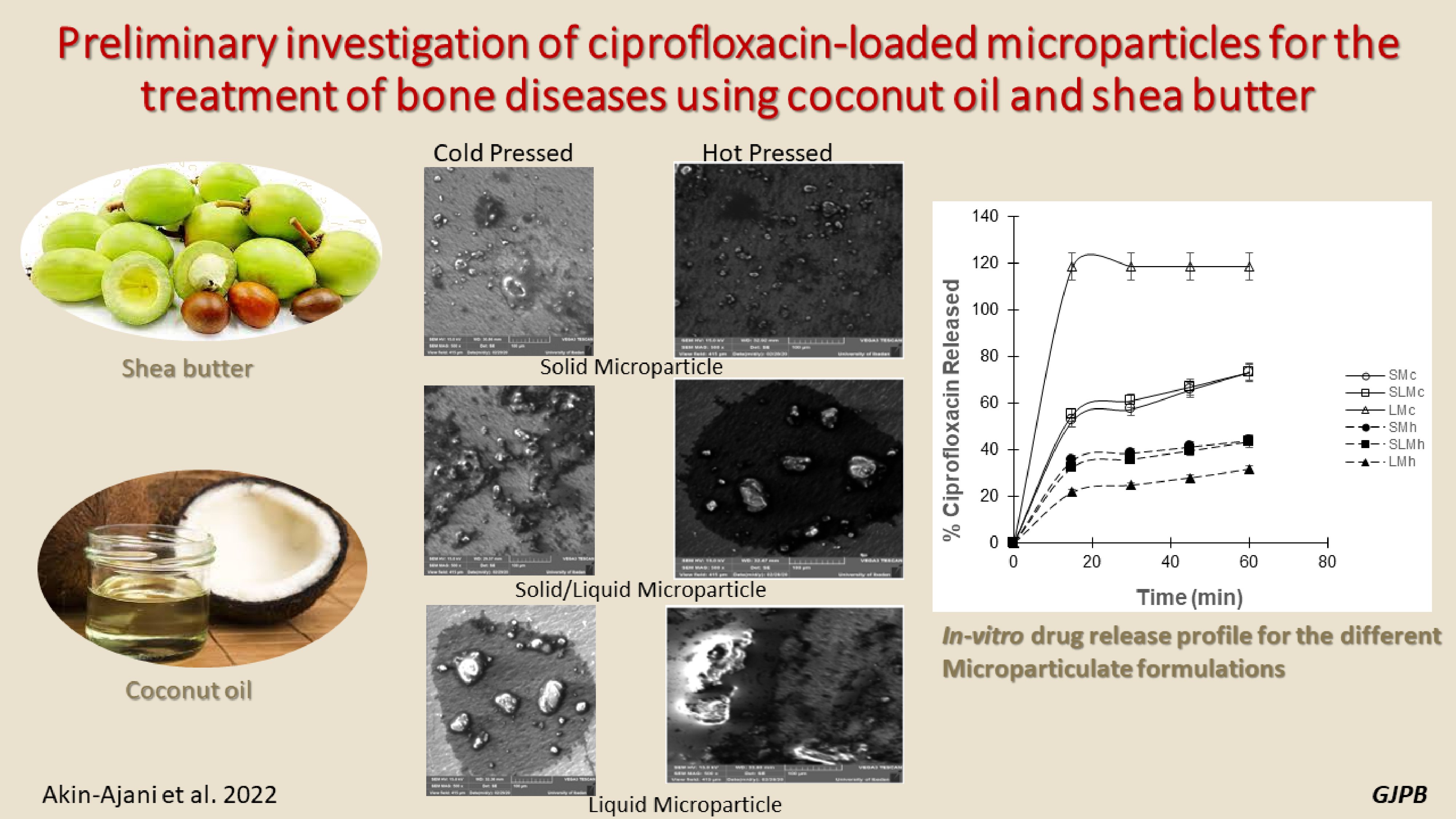 Graphical Abstract